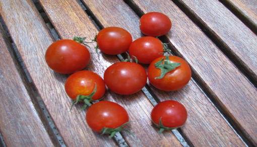 The sweet and tasty cherry tomato of Santorini