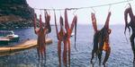 amoudi_bay amoudi_bay